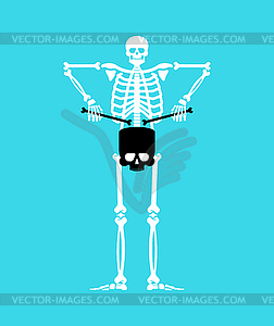 Skeleton with drum. Skeleton musician. trommel and - color vector clipart