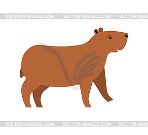 Capybara . guinea pig - vector image