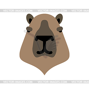 Capybara face . Head guinea pig - vector image