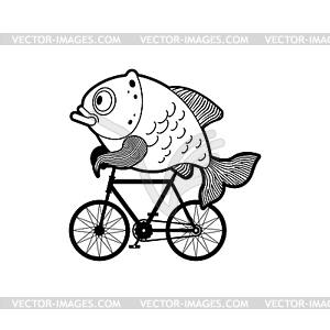 Fish on bike. Carp on bicycle Cartoon - vector clip art