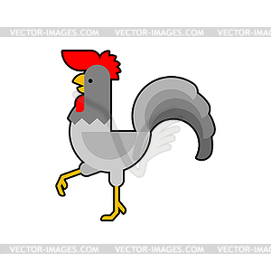 Rooster is walking cartoon. farm bird - vector clipart / vector image