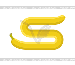 Very long banana. unusual fruit - vector clipart