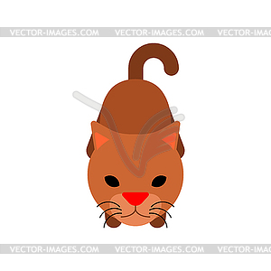 Cat looks up. Pet looks at its owner. Cats sign icon - royalty-free vector clipart