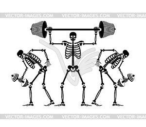 Skeleton and dumbbell. Skeletons and barbell and - vector clipart