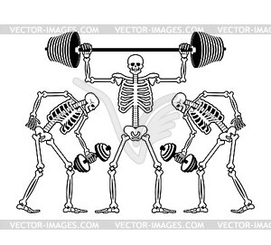 Skeleton and dumbbell. Skeletons and barbell and - vector image