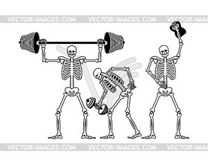 Skeleton and dumbbell. Skeletons and barbell and - vector clipart