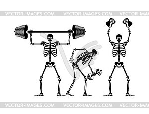 Skeleton and dumbbell. Skeletons and barbell and - vector image