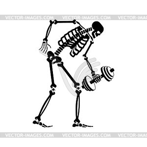 Skeleton with dumbbell. Skull and bones and sport. - vector clip art