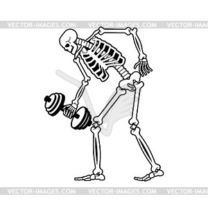 Skeleton with dumbbell. Skull and bones and sport. - vector clip art