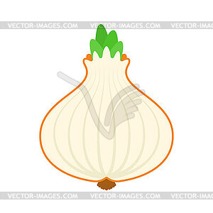 Onion bulb sign icon. Onion slice . Vegetable symbol - vector clipart / vector image