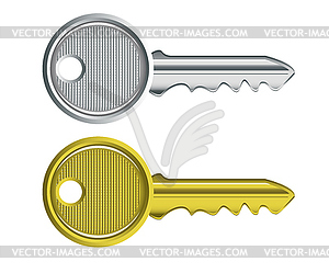 Two keys - vector image