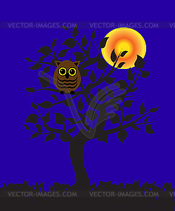 Owl on a tree - color vector clipart