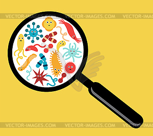 Bacteria and Viruses - vector clipart