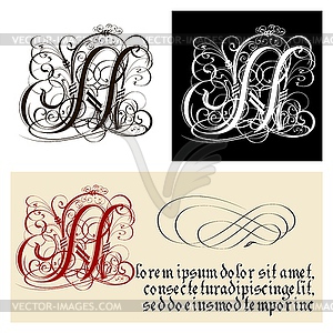 Decorative Gothic Letter N. Uncial Fraktur - vector clipart