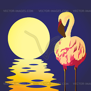 Flamingo in sun - vector clipart