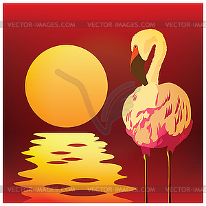 Flamingos at sunset - vector clipart