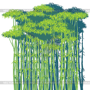 Bamboo thickets - color vector clipart