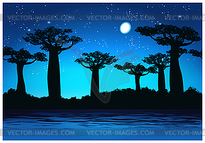 Baobab trees At night - vector image