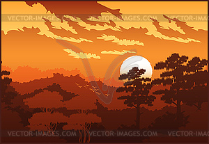 Beautiful forest at sunset - vector clipart