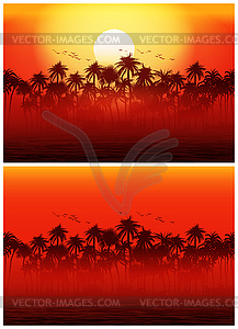 Jungle at sunset - vector image