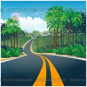 Road through jungle - vector clip art