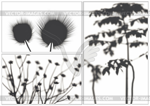 Plant shadows Set - vector image