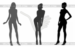 Shadows of beautiful girls - vector image