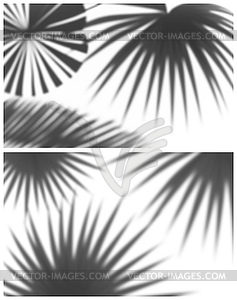 Soft shadow of palm leaves - vector image