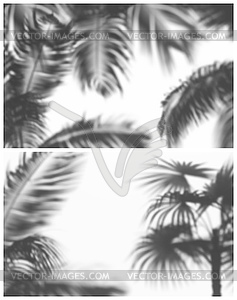 Soft shadow of palm trees and fern - royalty-free vector clipart