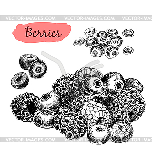 Berries. Set of s - vector clipart / vector image