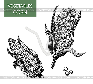 Corn-set of - vector clipart / vector image