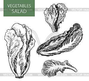 Salad - set of - vector clip art