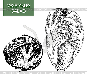 Salad - set of - vector clip art