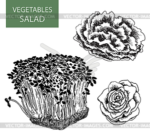 Salad - set of - vector clipart