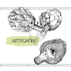 Artichoke - vector clipart