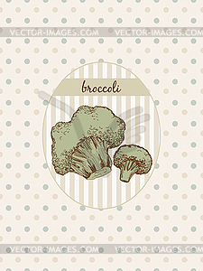 Broccoli - vector image