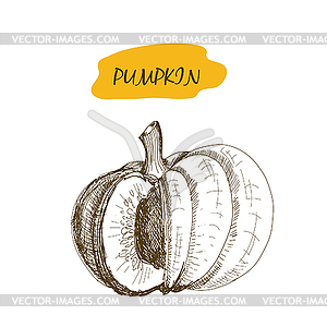 Pumpkin - vector image