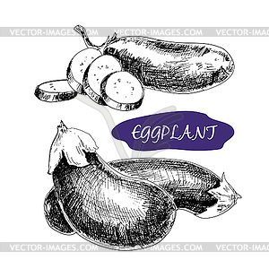 Eggplant - royalty-free vector clipart