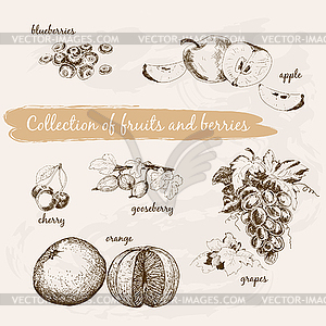 Collection of fruits and berries - vector image