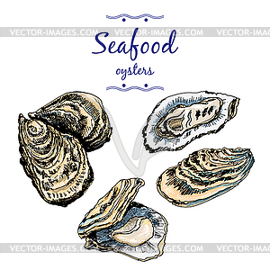 Oysters - vector clipart