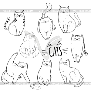 Collection of cats - vector clipart