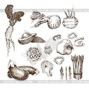 Vegetables collection - vector image