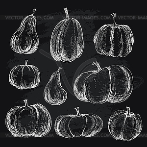 Pumkins - клипарт в векторе