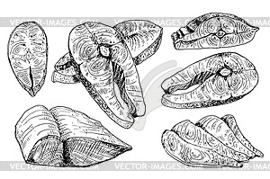 Set of salmon meat pieces . Design element for menu - vector image