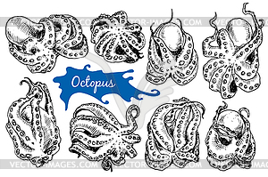 Octopus in sketch style - vector clipart