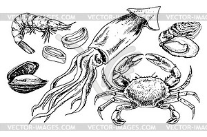 Seafood collection - vector clipart