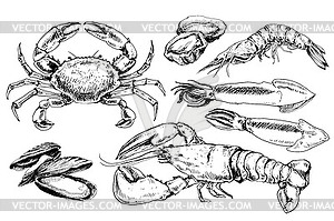 Seafood collection - white & black vector clipart