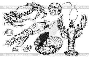 Seafood collection - vector clipart