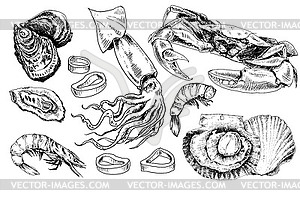 Seafood collection - vector image