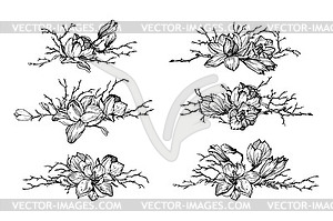 Flowers compositions witn branches - vector clip art
